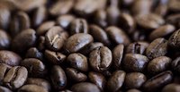 Nos cafés