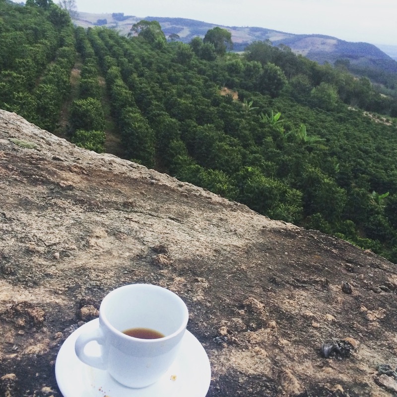 Café SUMATRA GAYO MOUNTAIN – Image 2