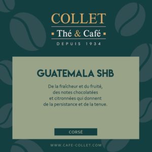 Café GUATEMALA SHB