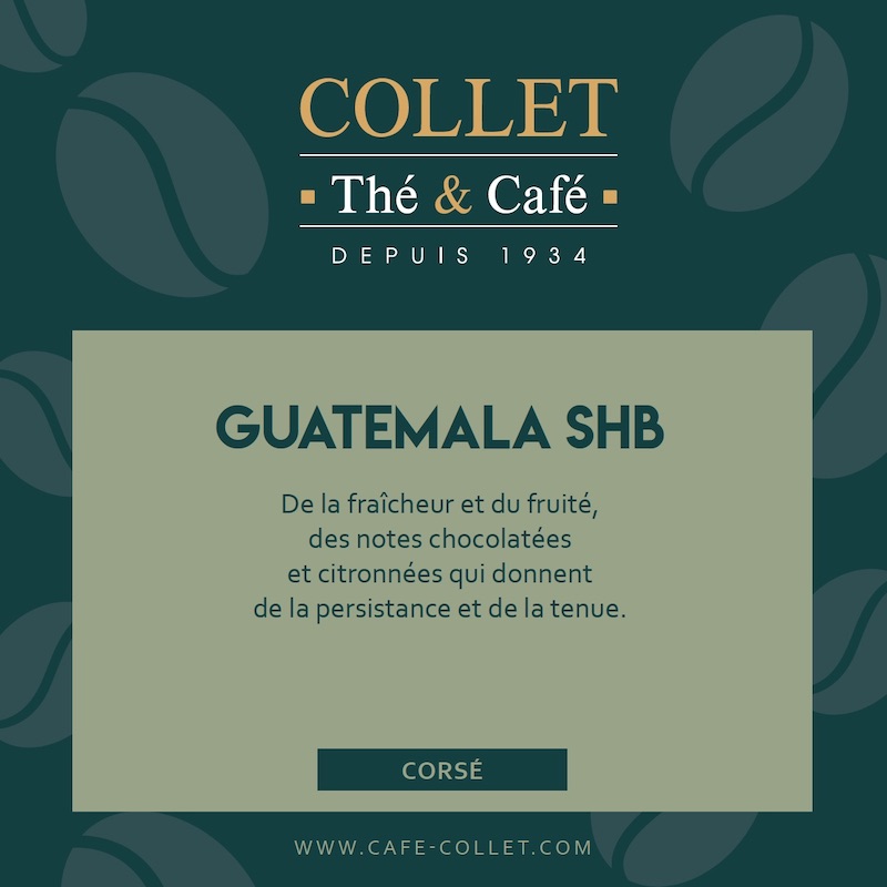 Café GUATEMALA SHB