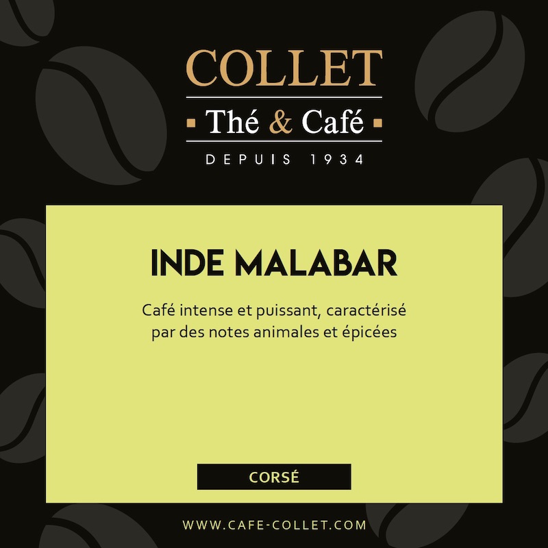 Café INDE MALABAR