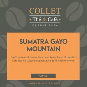 Café SUMATRA GAYO MOUNTAIN