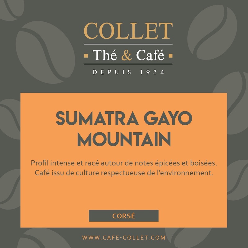 Café SUMATRA GAYO MOUNTAIN