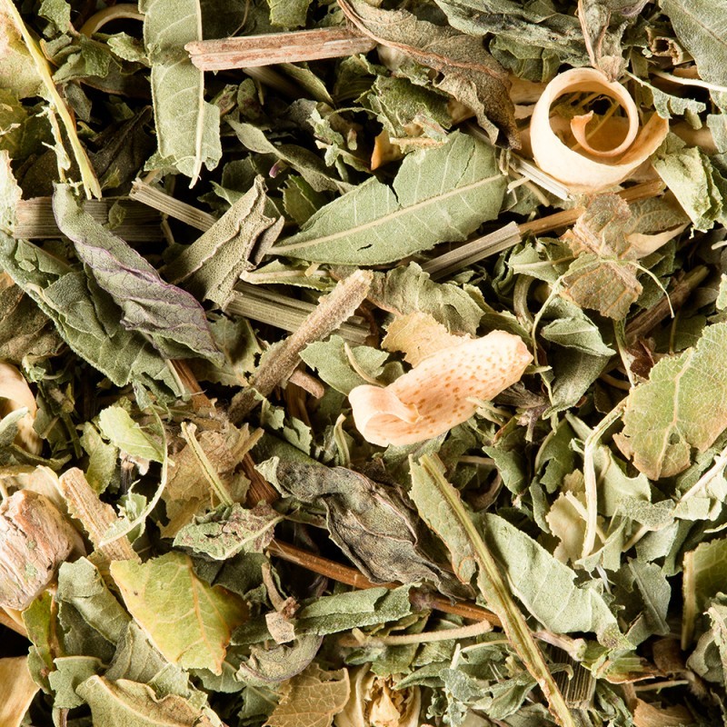 TISANE DU BERGER, 25 SACHETS CRISTAL | Dammann Frères – Image 3